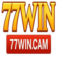 77wincam